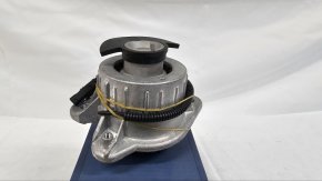 photo_2025-02-20_16-51-56