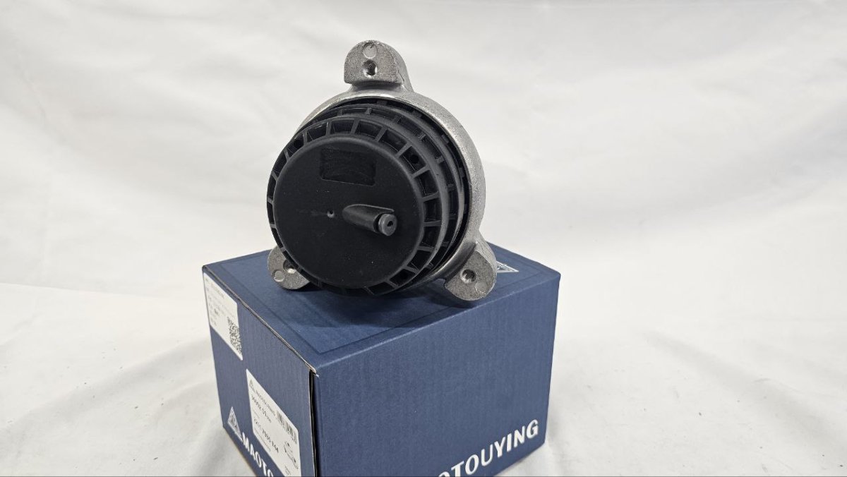 photo_2025-03-23_07-54-22