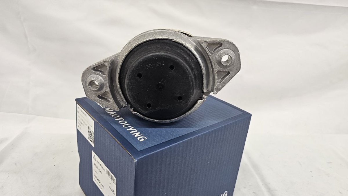 photo_2025-03-23_07-57-27