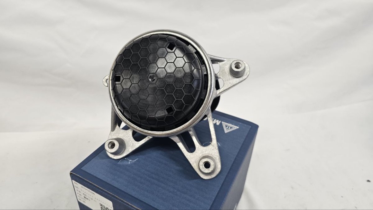 photo_2025-02-20_16-53-24