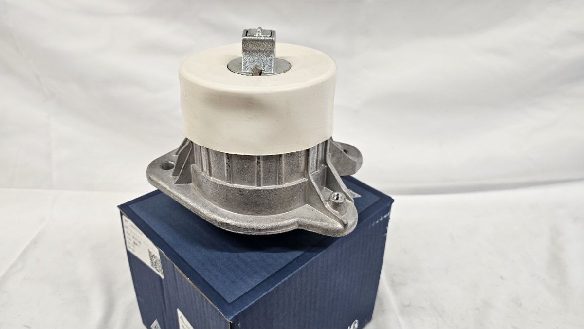 photo_2025-02-20_16-45-15