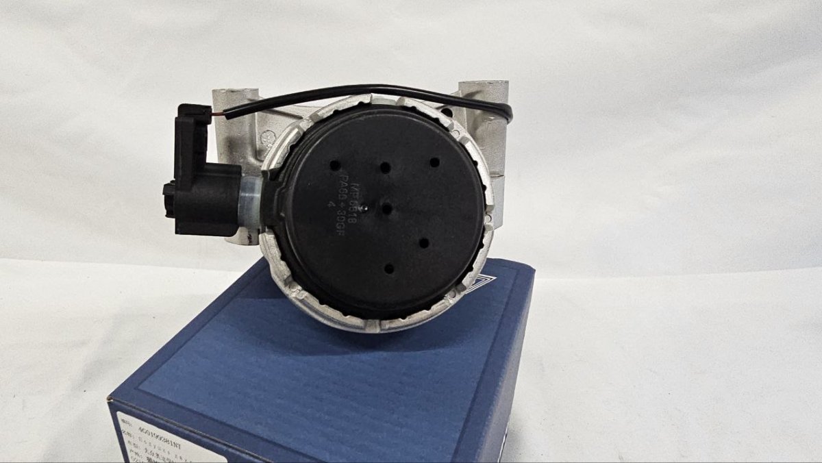 photo_2025-02-20_16-40-04