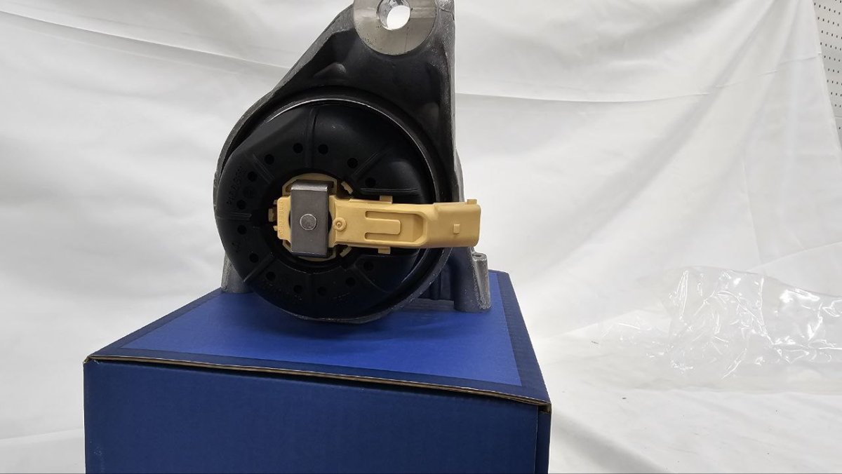 photo_2025-02-16_19-01-42