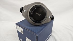 photo_2025-03-23_08-41-41