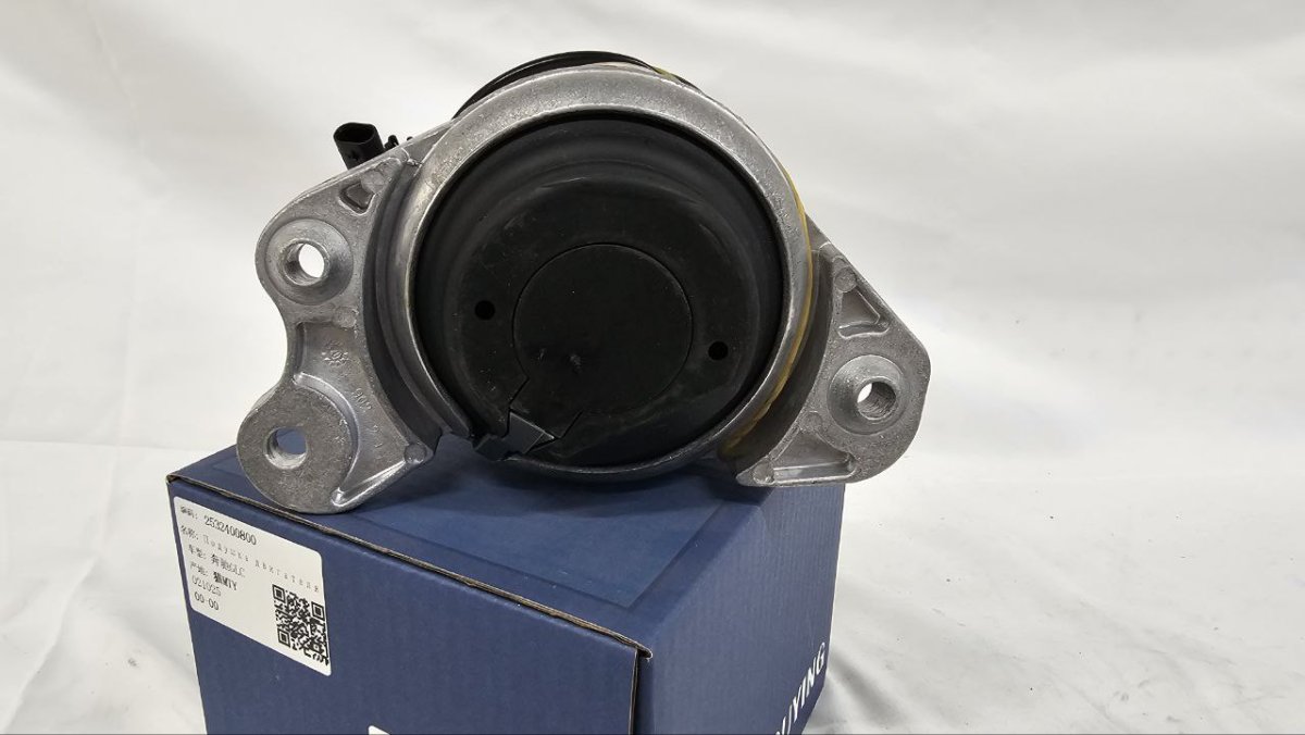 photo_2025-02-20_16-55-21