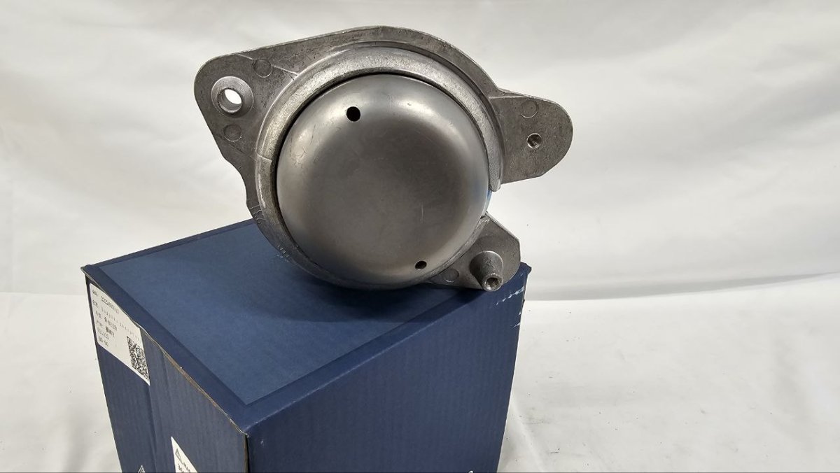 photo_2025-02-20_16-45-17