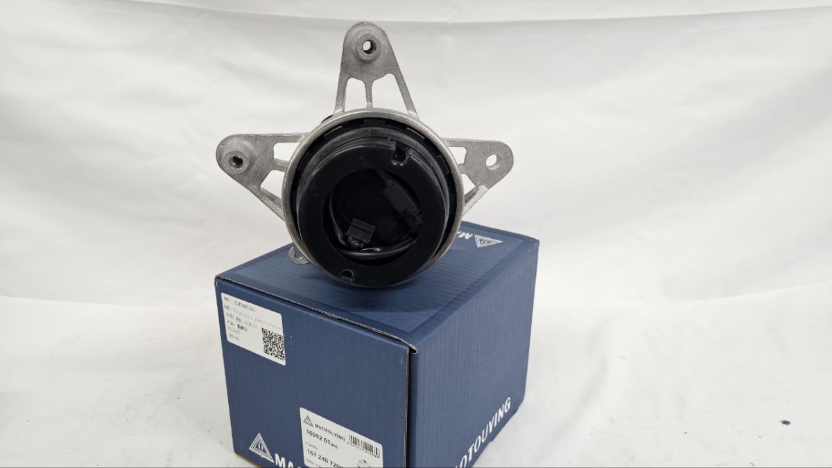 photo_2025-02-20_16-52-52